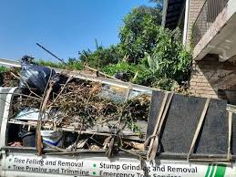 Recycling Services for Junk in Mesquite, NV